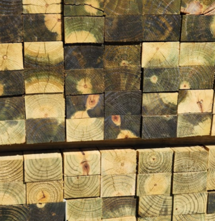 50x76 SABS Treated And Approved ( Purlin )